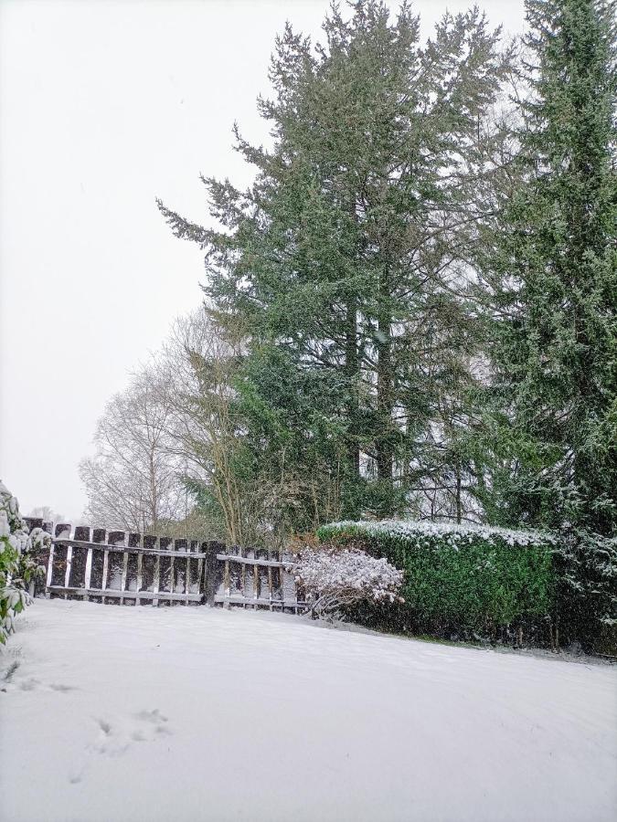Bergfreude Chalet Braunlage Exterior foto